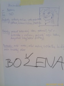 scrumdesk persona example