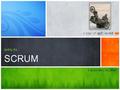 Agile, Scrum, principles, training, real life examples
