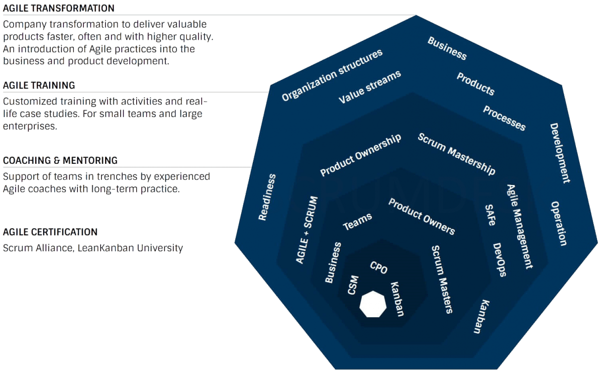 Звездная карта компетенций agile
