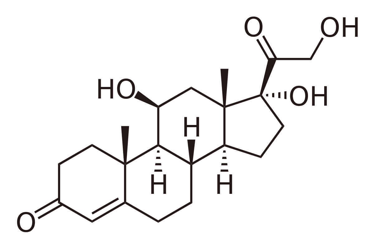 cortisol